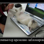 Таша